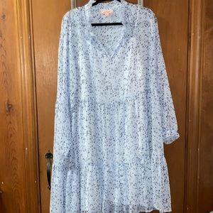 Sheer baby doll dress 2x